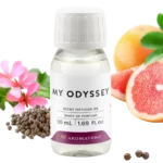 essence my odyssey