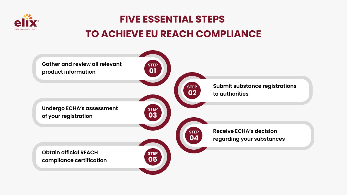 FIVE essential steps to achieve EU REACH compliance