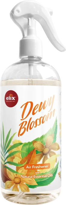 WEBP mist500 DB product 1.0