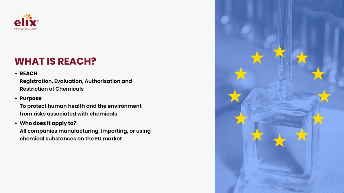 What is REACH?